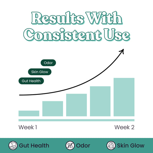 Body Odor Fighter Bundle