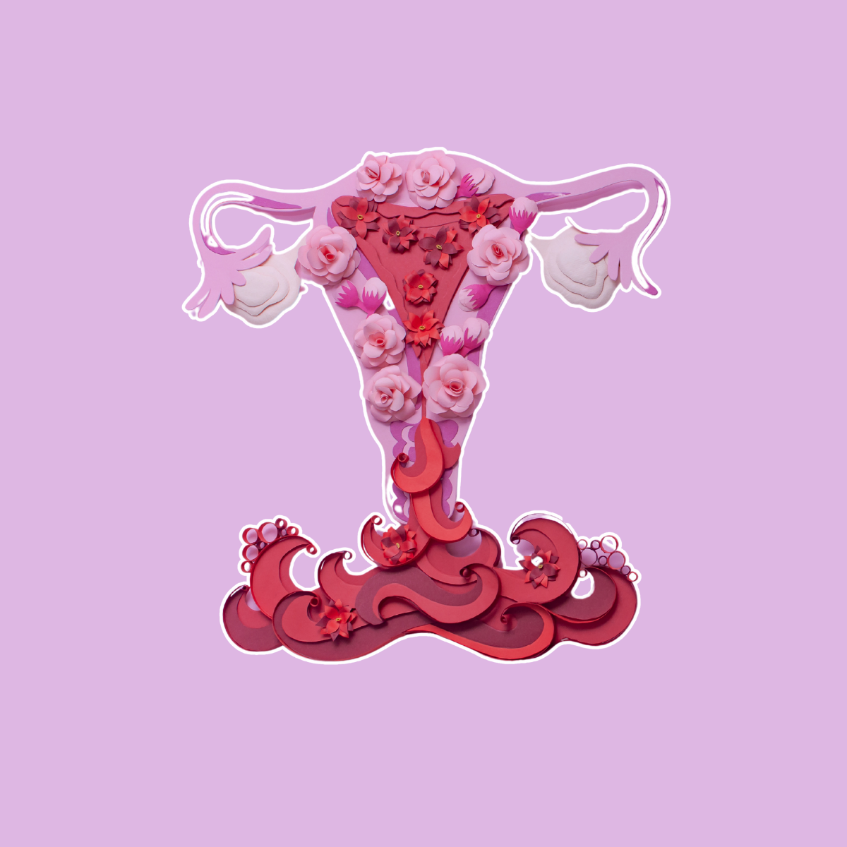 Five Products Every Woman Should Have