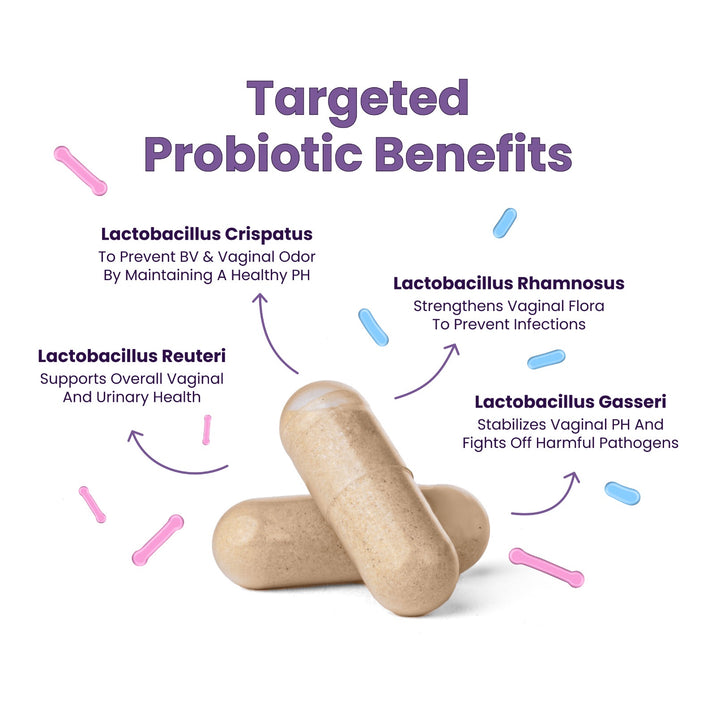 Targeted Probiotic Benefits. Two probiotic capsules shown with four strain callouts: Lactobacillus Crispatus – To Prevent BV & Vaginal Odor By Maintaining A Healthy PH. Lactobacillus Rhamnosus – Strengthens Vaginal Flora To Prevent Infections. Lactobacillus Reuteri – Supports Overall Vaginal And Urinary Health. Lactobacillus Gasseri – Stabilizes Vaginal PH And Fights Off Harmful Pathogens.