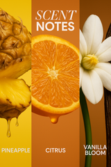 Scent Notes. Three-panel image showing: Pineapple (juicy pineapple slice), Citrus (halved orange), Vanilla Bloom (white flower).
