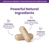 Her Fantasy Box Healthy Box Probiotics key natural ingredients infographic featuring Chaste Berry, Ginger Root, and D-Mannose benefits