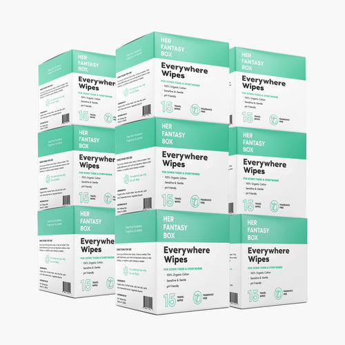 Everywhere Wipes Travel Size - 180 Wipes, 12 Pack