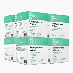 Everywhere Wipes Travel Size - 120 Wipes, 8 Pack