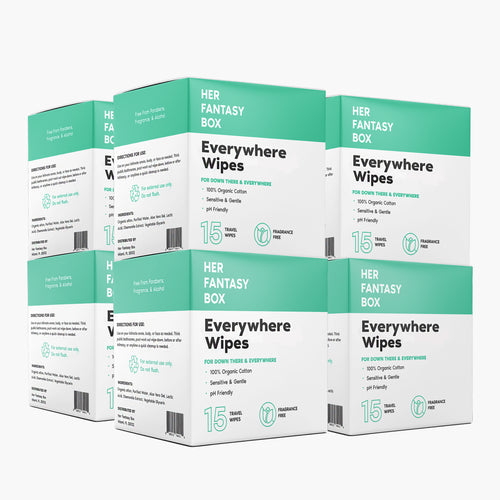 Everywhere Wipes Travel Size - 120 Wipes, 8 Pack
